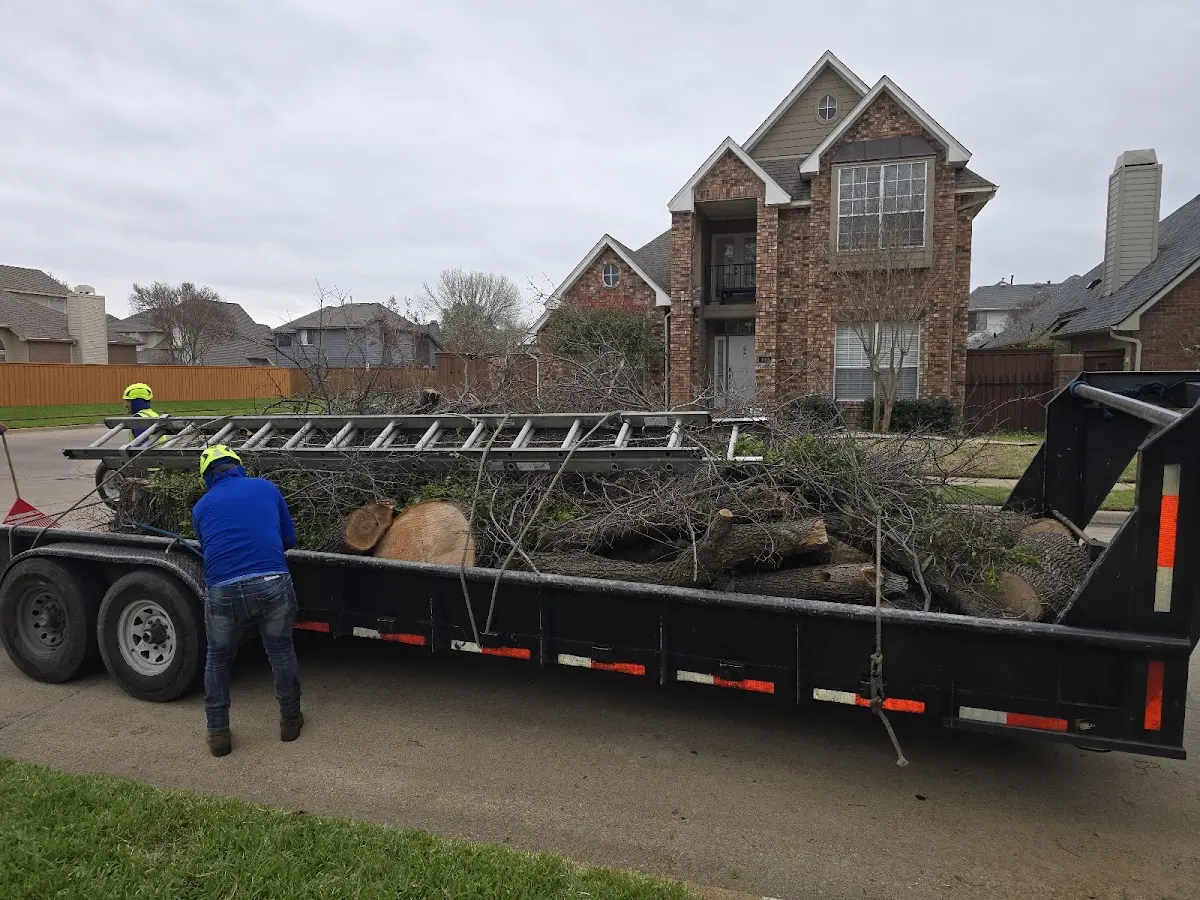 Expert Tree Fertilization with proper safety equipment in Combes